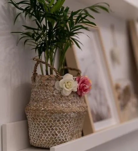 Contemporary In Center Apartment