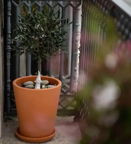 Apartament Contemporary In Center