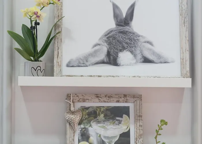 Contemporary In Center * Oporto